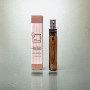 cool beans (peppermint mocha) seasonal room spray | pretty functional